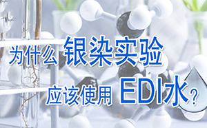 為什么銀染實驗要用EDI水？
