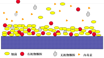 假期歸來(lái)，實(shí)驗(yàn)室純水系